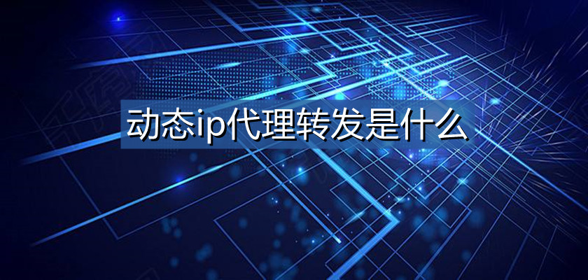 動態(tài)代理IP的重要性有哪些？